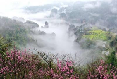 候鳥的選擇，彰顯湖南生態(tài)系統(tǒng)持續(xù)優(yōu)化